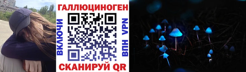 дарнет шоп  Зима  Псилоцибиновые грибы прущие грибы 
