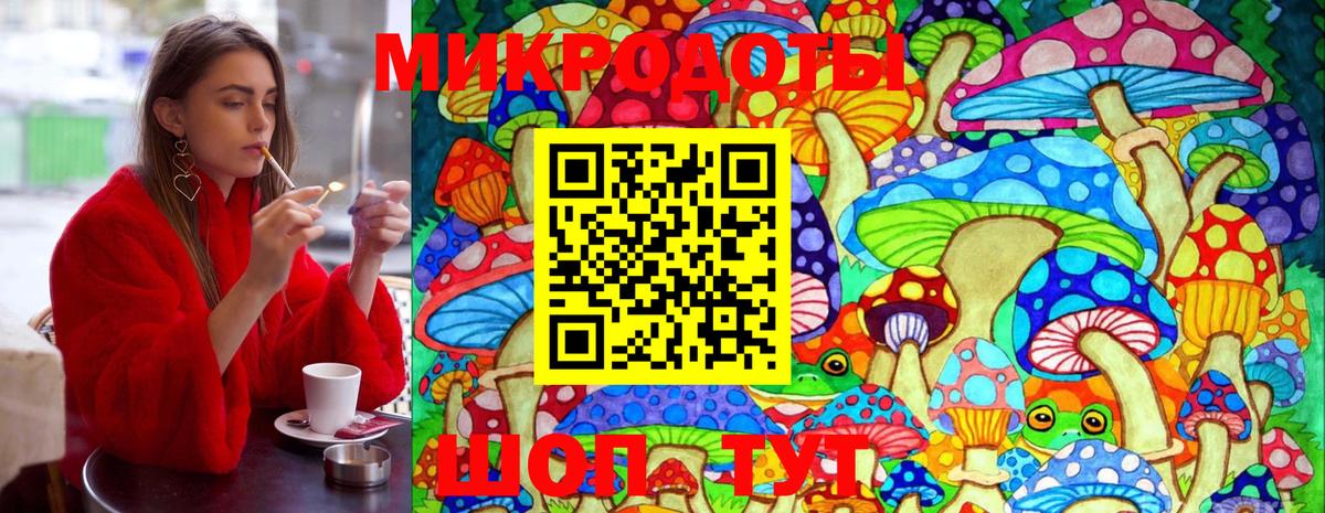Галлюциногенные грибы Cubensis  Вход с VPN  Зима 